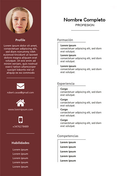 plantilla currículum auxiliar técnico